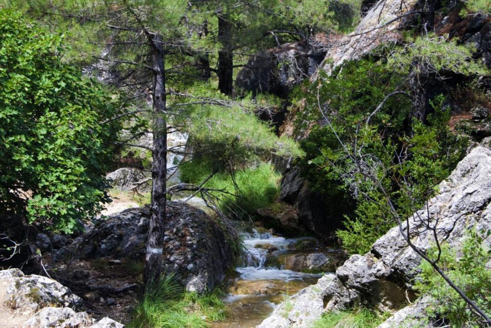 Cortijo El Chorreadero En Parque Natural Sierra De Cazorla Los Rosales (Jaen) Exterior foto